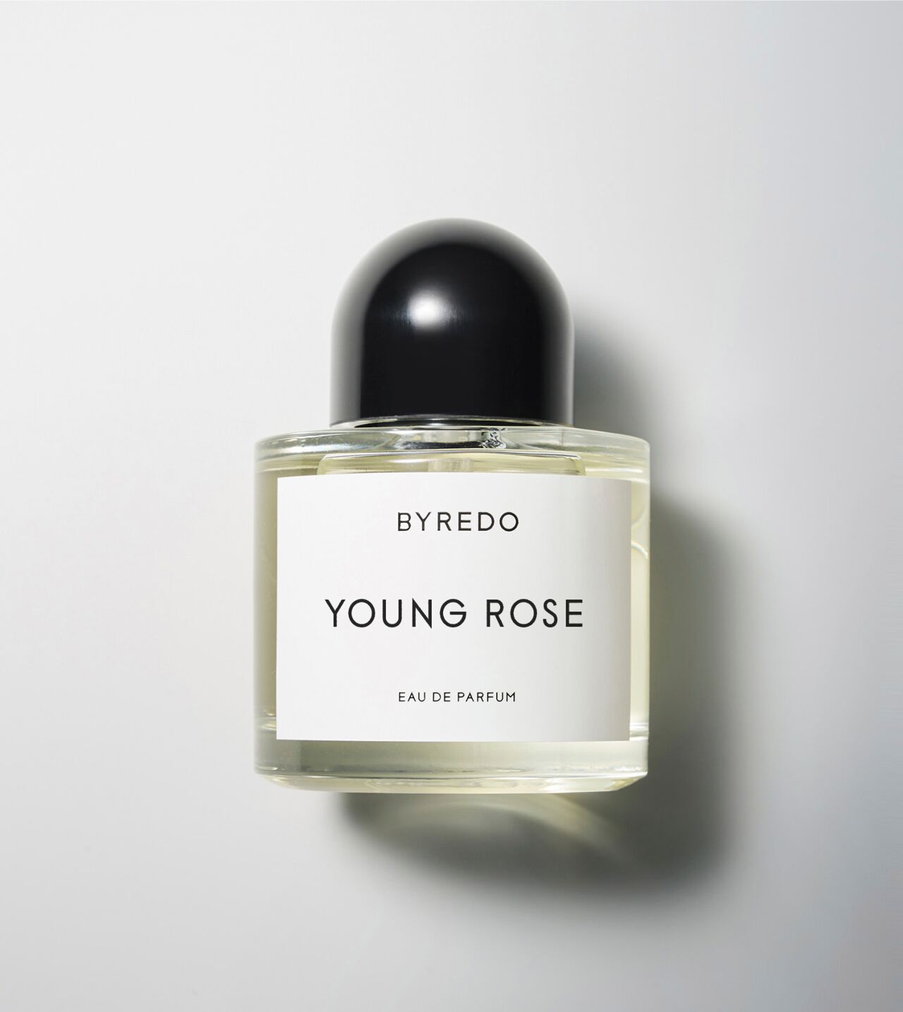 Young Rose (Unisex)