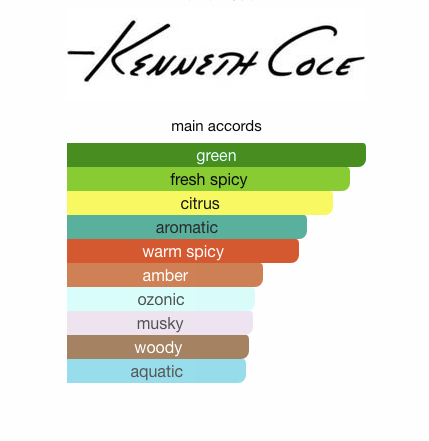 Kenneth Cole Black (Men)